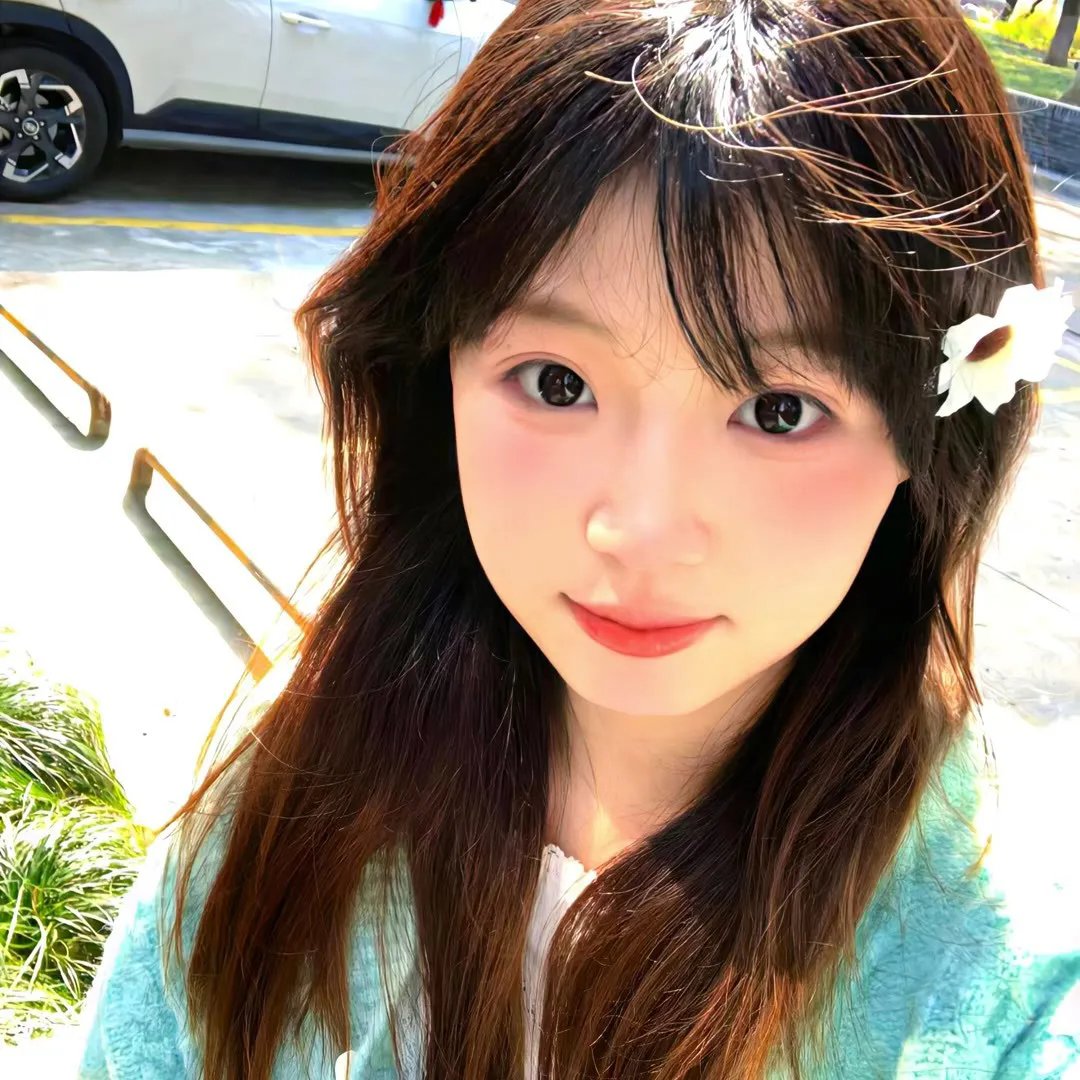 飞行之翼